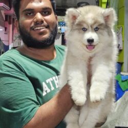 WhatsApp Image 2026-06-04 at 5.46.44 AM